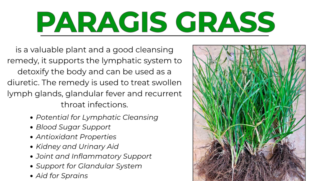 PARAGIS