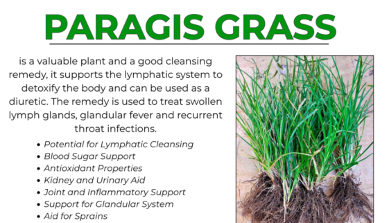 PARAGIS
